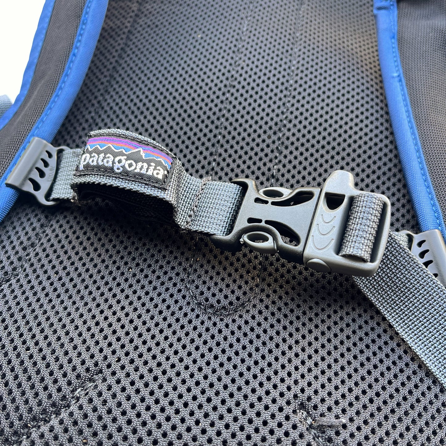 06's patagonia / Endurance Pack (used)