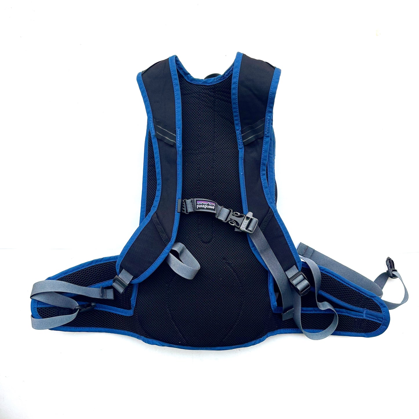 06's patagonia / Endurance Pack (used)