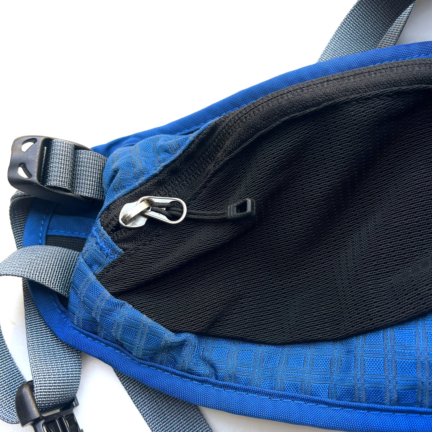 06's patagonia / Endurance Pack (used)